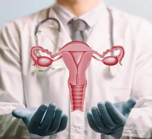 Cosmetic Gynecology